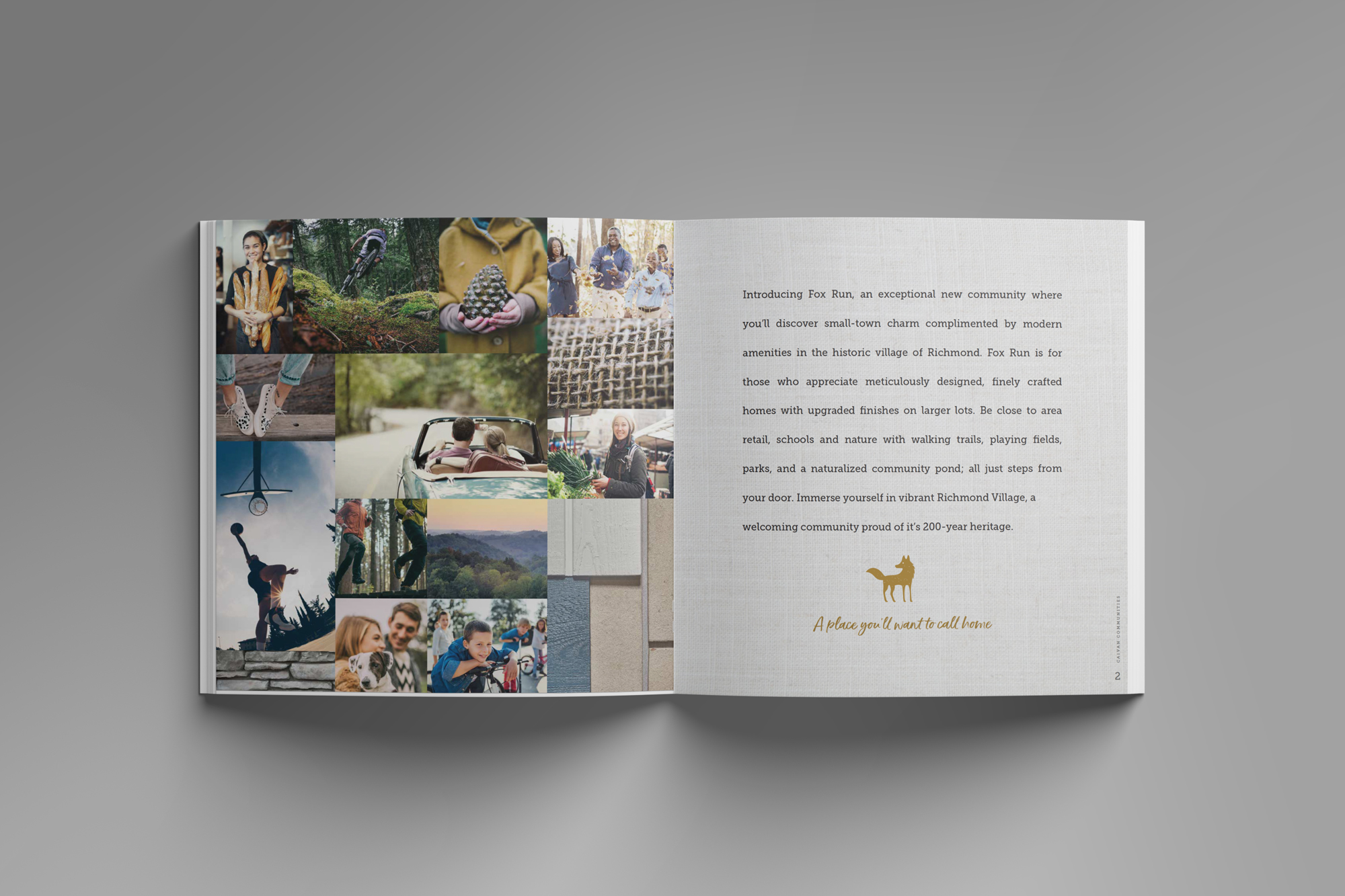 Fox Run — Caivan — deliverable 3