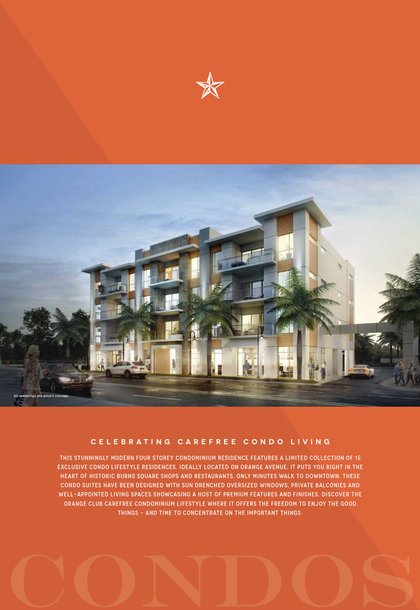 Orange Club — Vandyk — deliverable 14